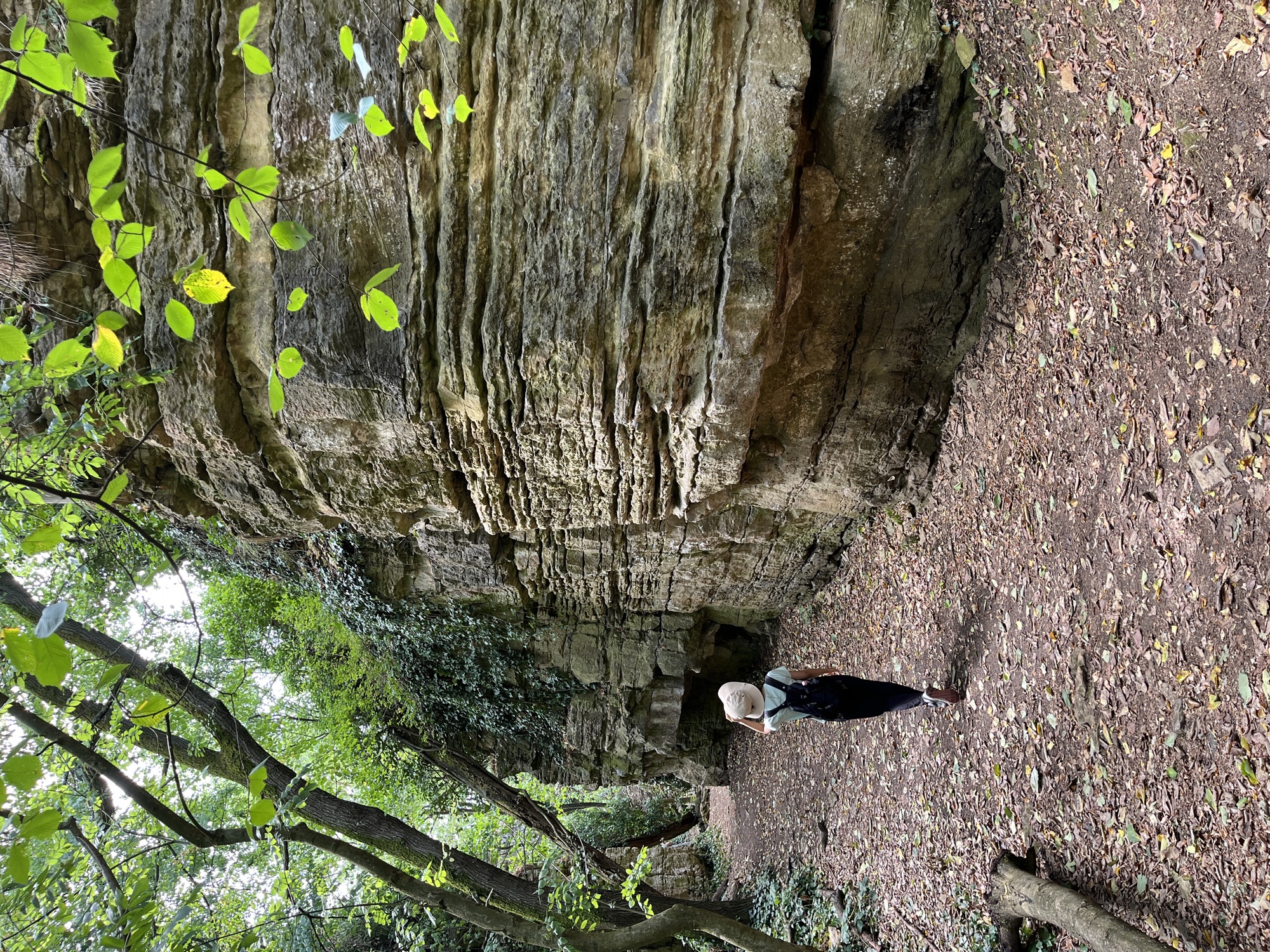 Nature in Besigheim