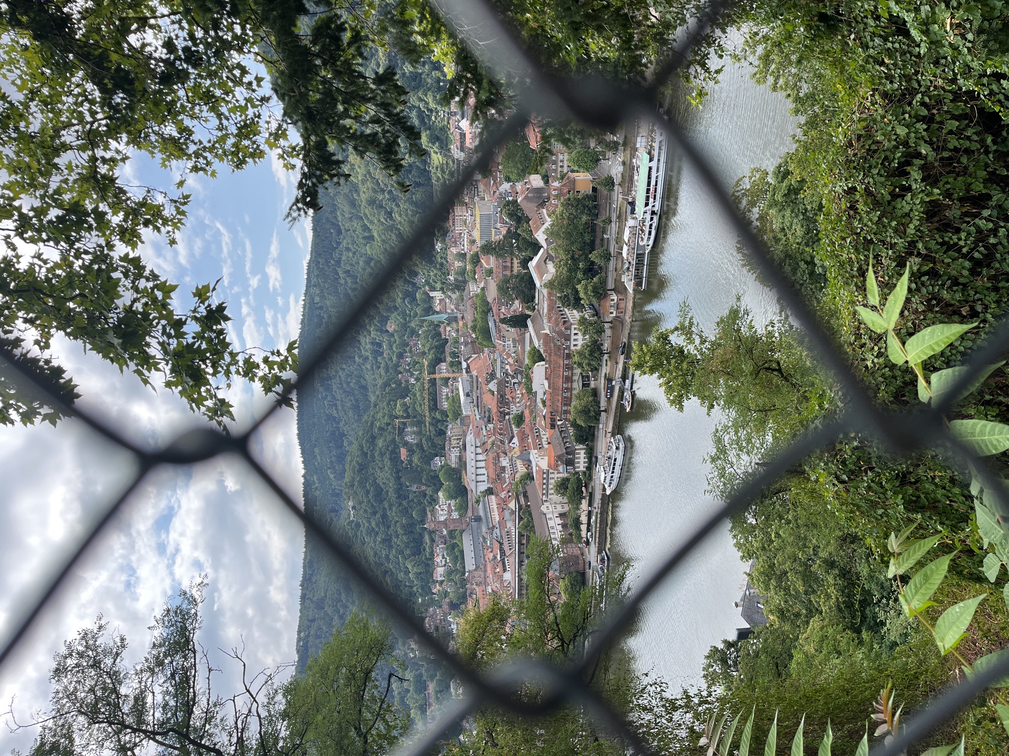 A memory from Heidelberg