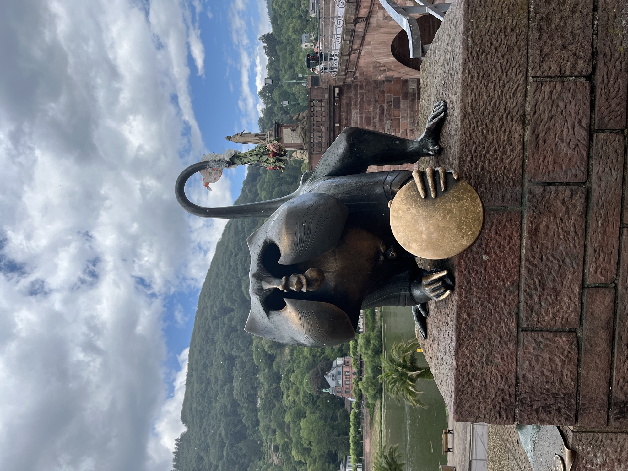 A memory from Heidelberg