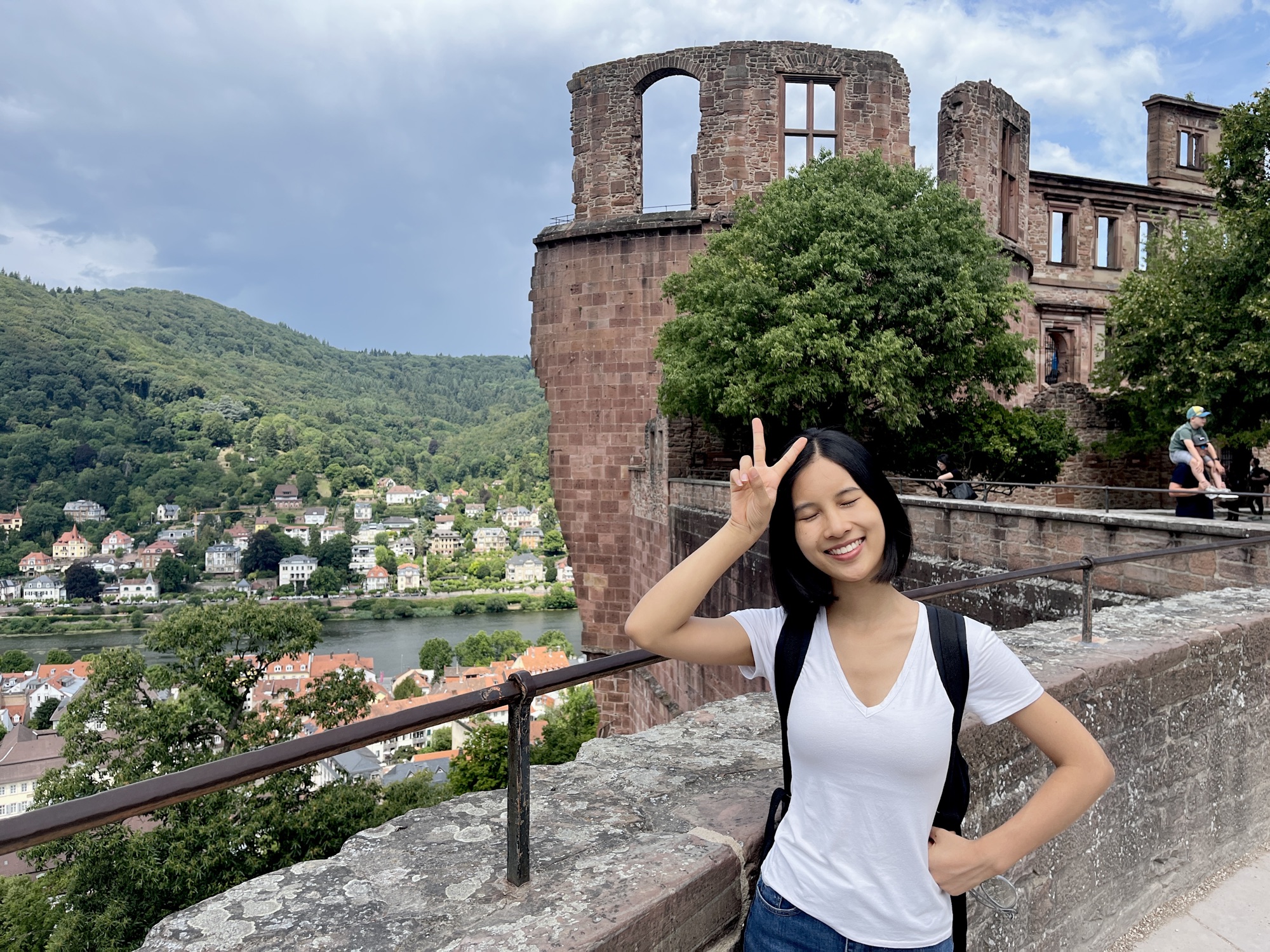 A wide view from Heidelberg