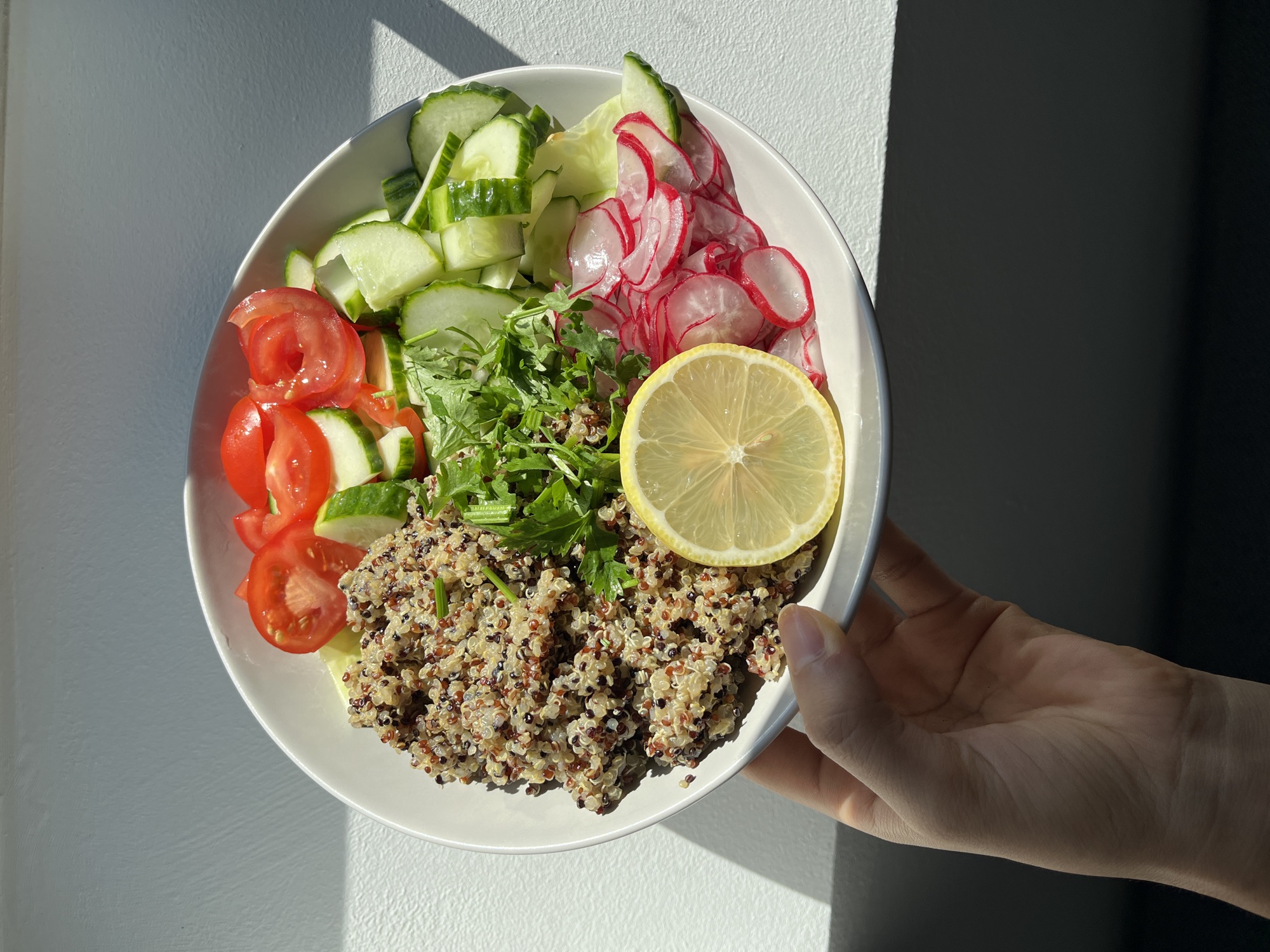 Fresh homemade salad