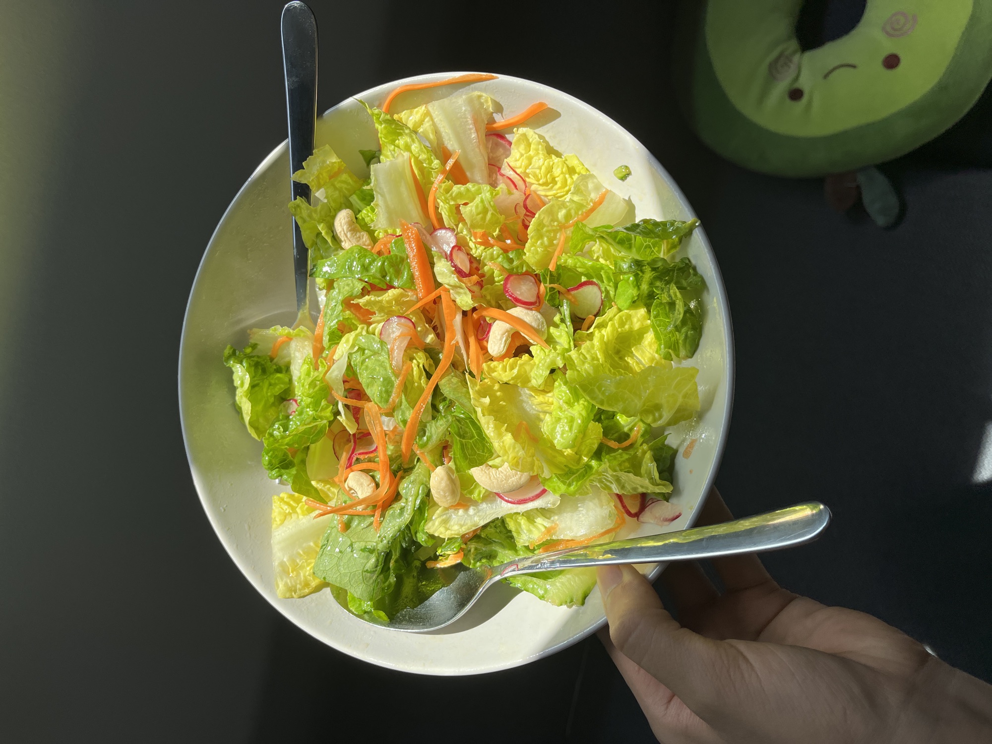 Fresh mozzarella-style salad